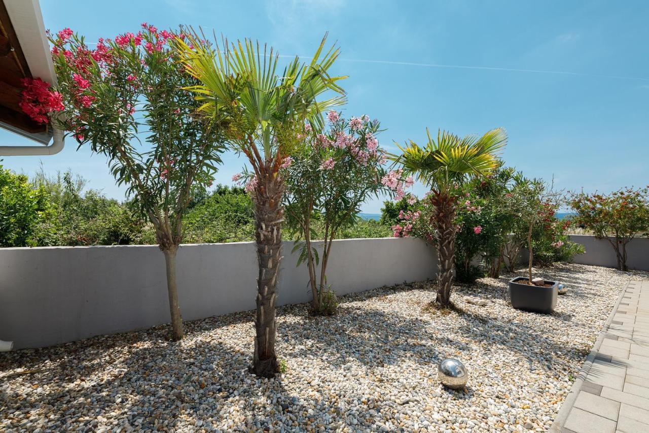 Malo Ferienvilla Privlaka, Pool, Boje, Wi-Fi, Wallbox Privlaka  Ngoại thất bức ảnh